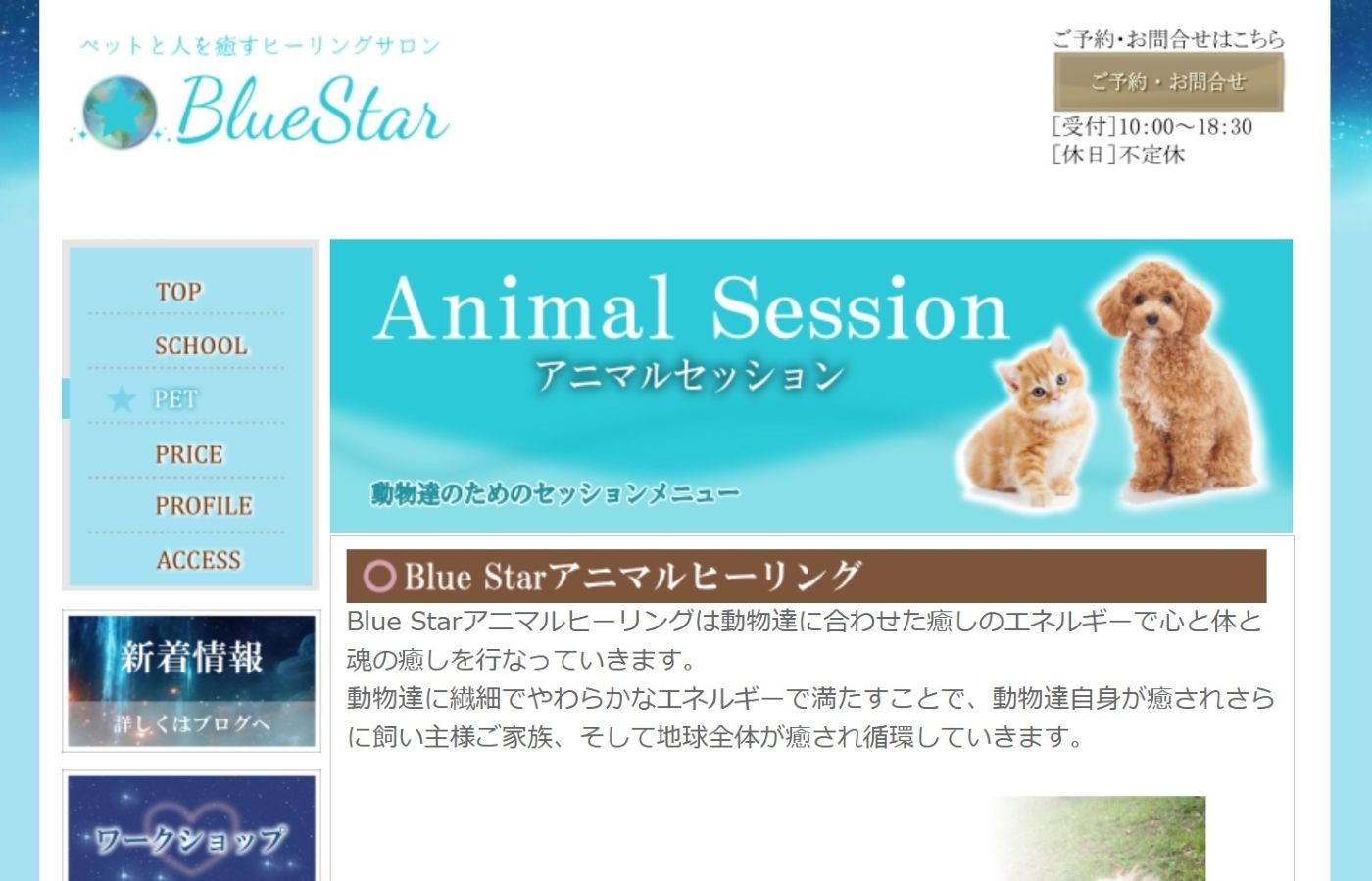 ヒーリングサロン BlueStar 制作実績